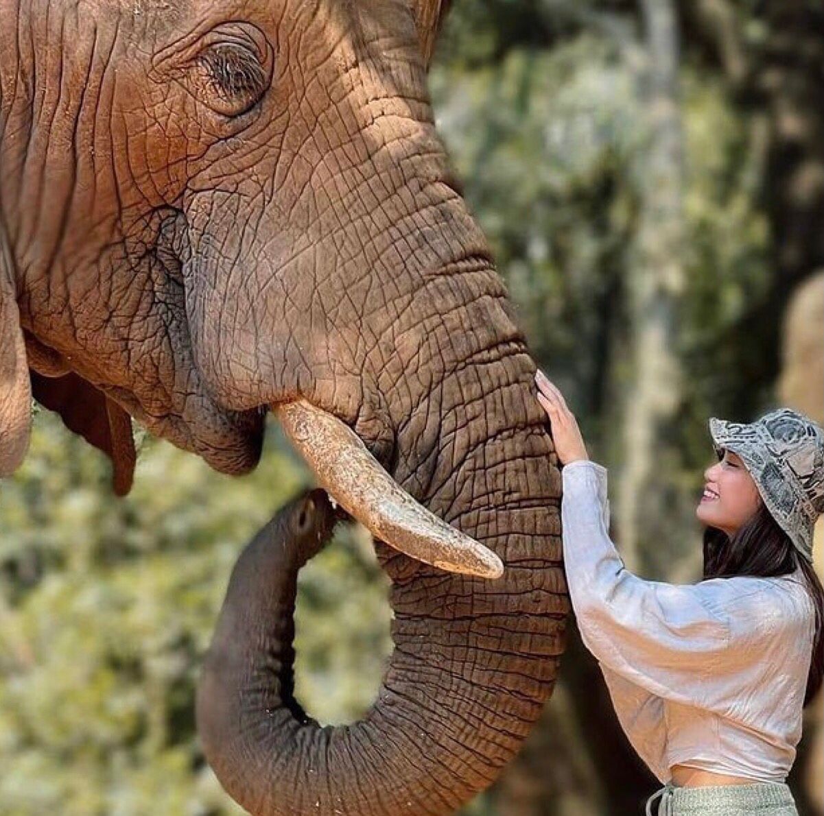 WhatsApp-Image-2025-07-04-at-17.37.29